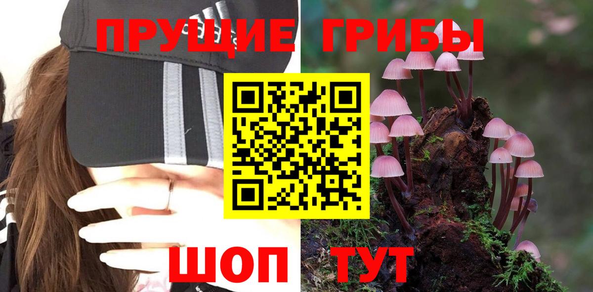 Псилоцибиновые грибы Psilocybe  Псилоцибиновые грибы Cubensis  Октябрьский  Вход с VPN 